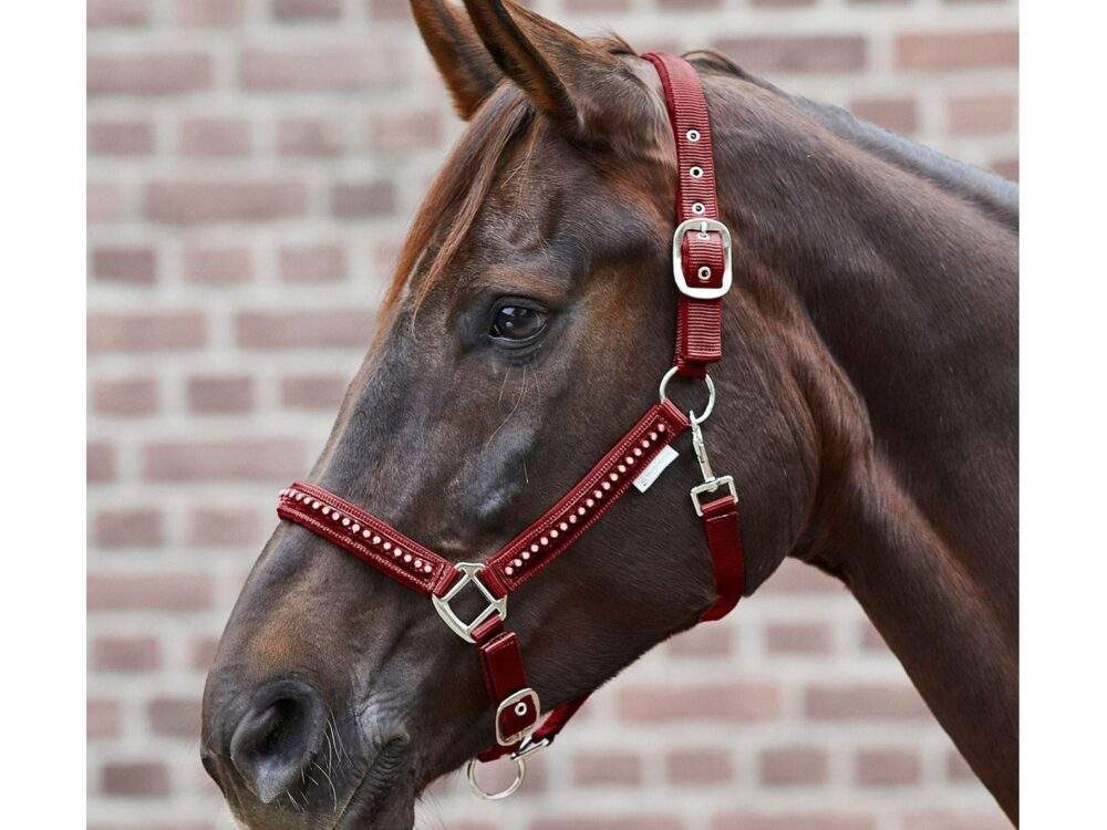 Waldhausen Halster Crystal