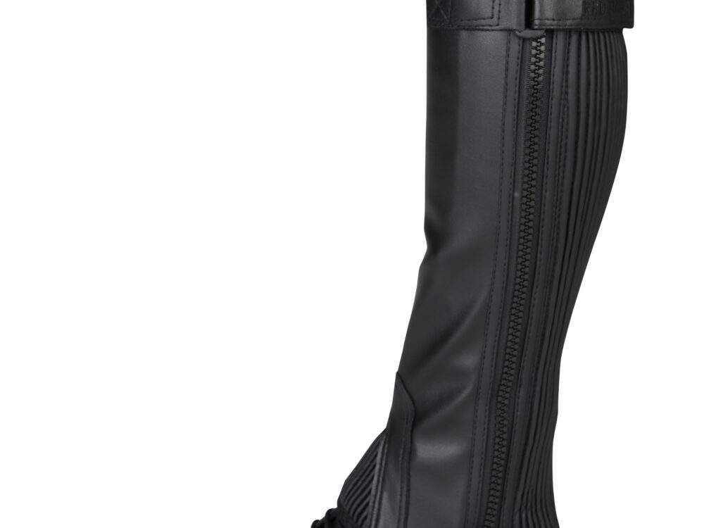 CHAPS REXION