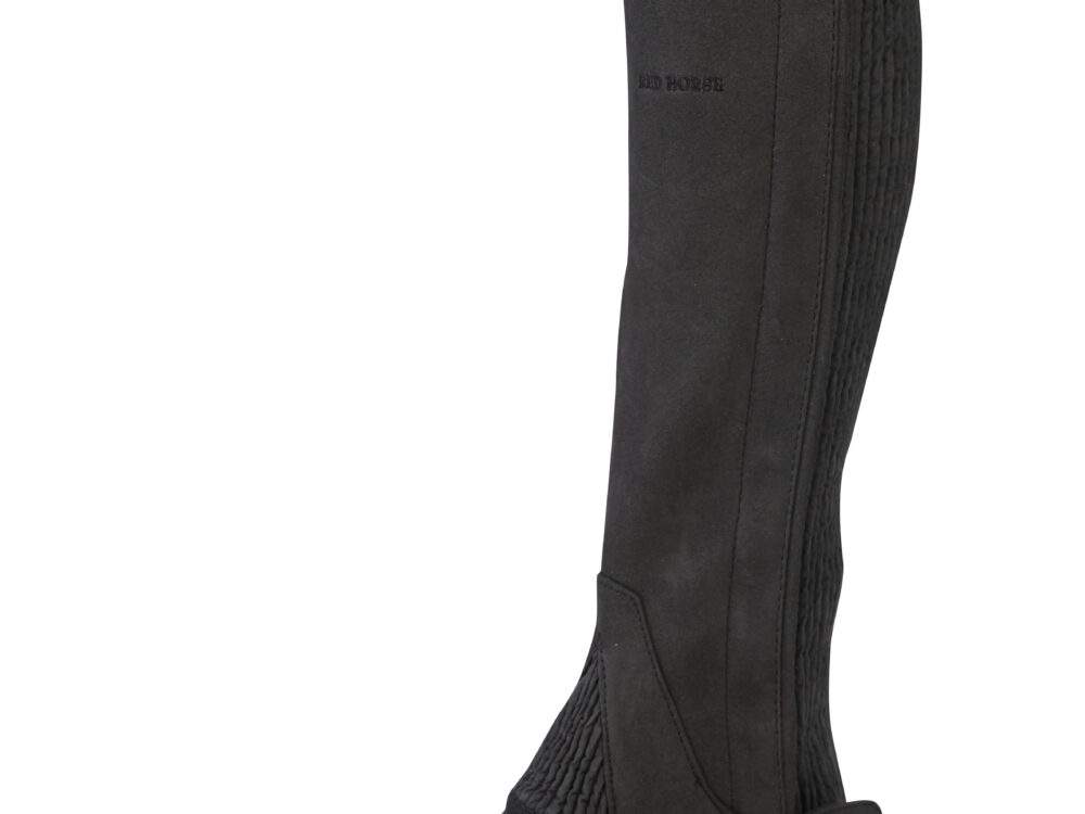 CHAPS AMARA XL