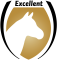 Excellent Horse_Goud_Zwart
